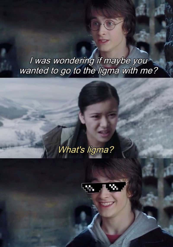 Harry Potter fans would never.