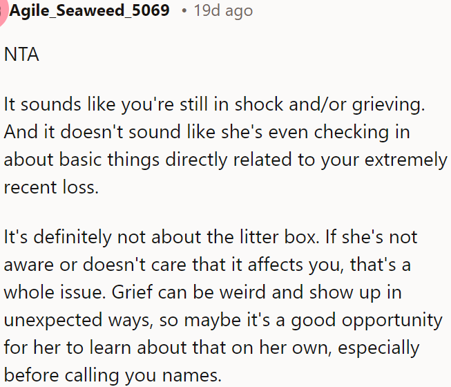 She ignores OP's grief and reacts insensitively to something more profound than the litter box.