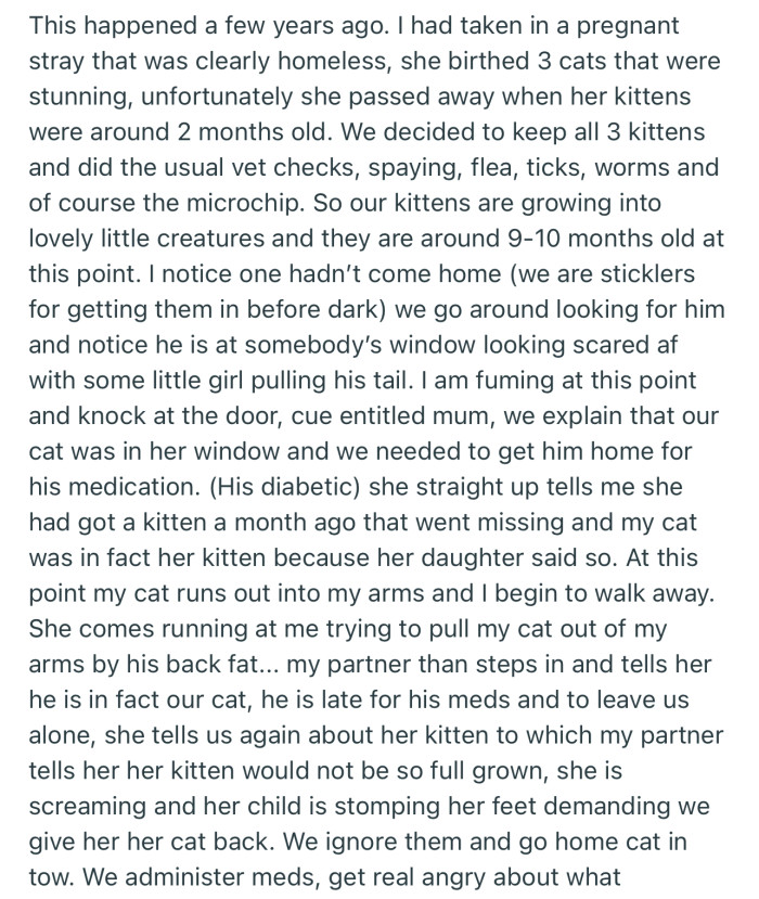 A stranger and her daughter tried to steal OP’s cat, but they managed to wrestle the kitty back and take it home