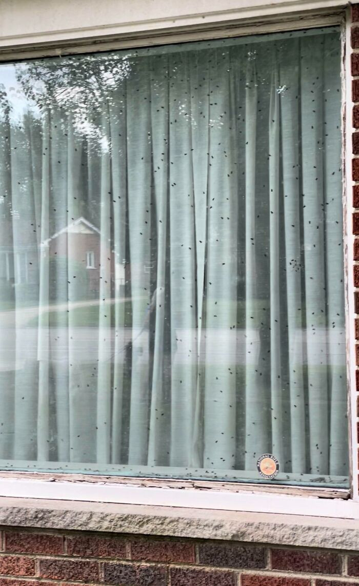 14. The original poster suspects that there are corpses inside this house.