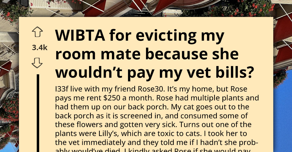 Roommate Refuses To Pay After Her Plant Almost Ki**ed Her Landlord's Cat