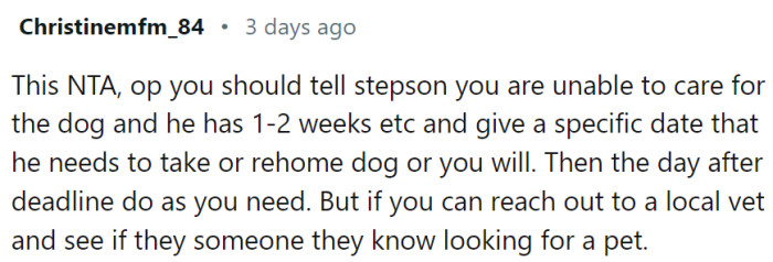 OP should tell stepson she is unable to care for the dog and that he has limited time to make arrangements