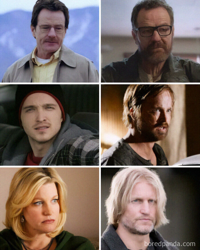 26. Evolution