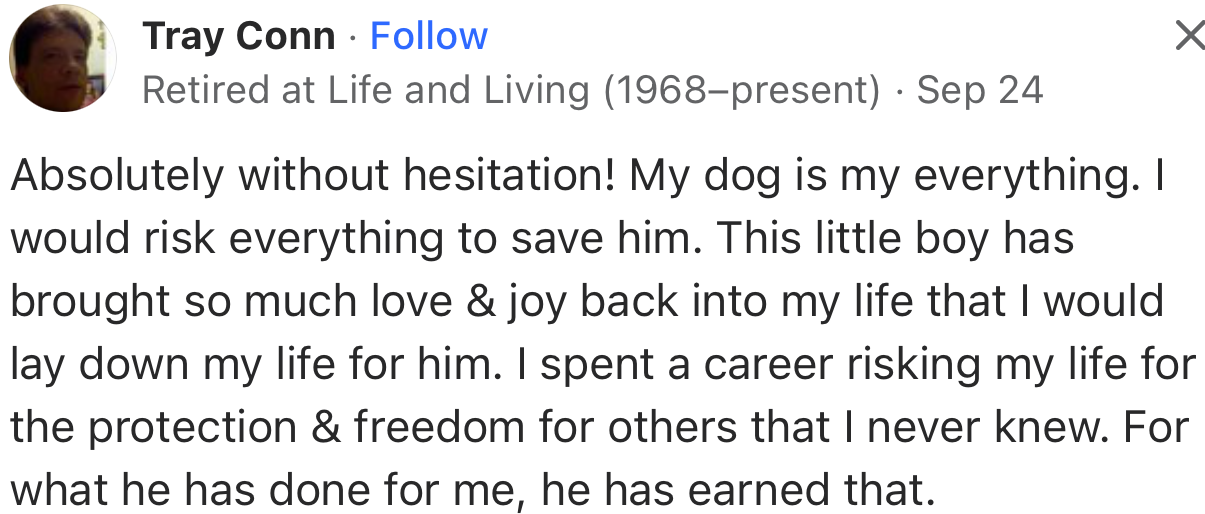 “Absolutely without hesitation! My dog is my everything. I would risk everything to save him.”
