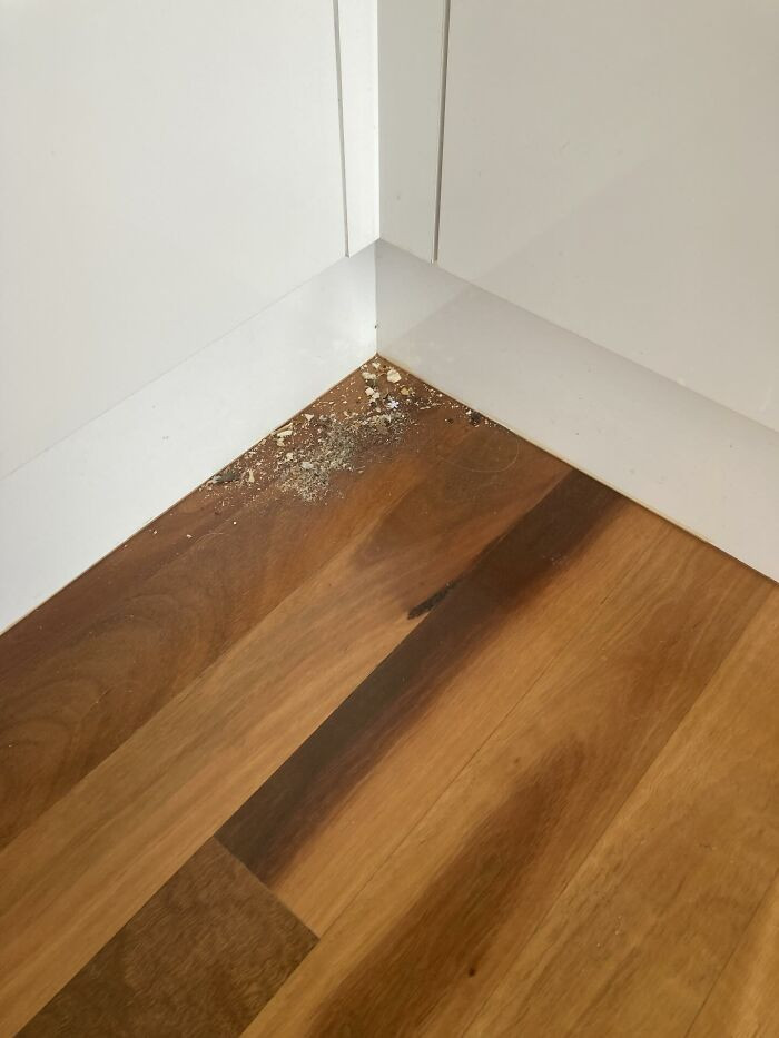 Kitchen Floor Swept. Yep, That’s A Completely Finished Job