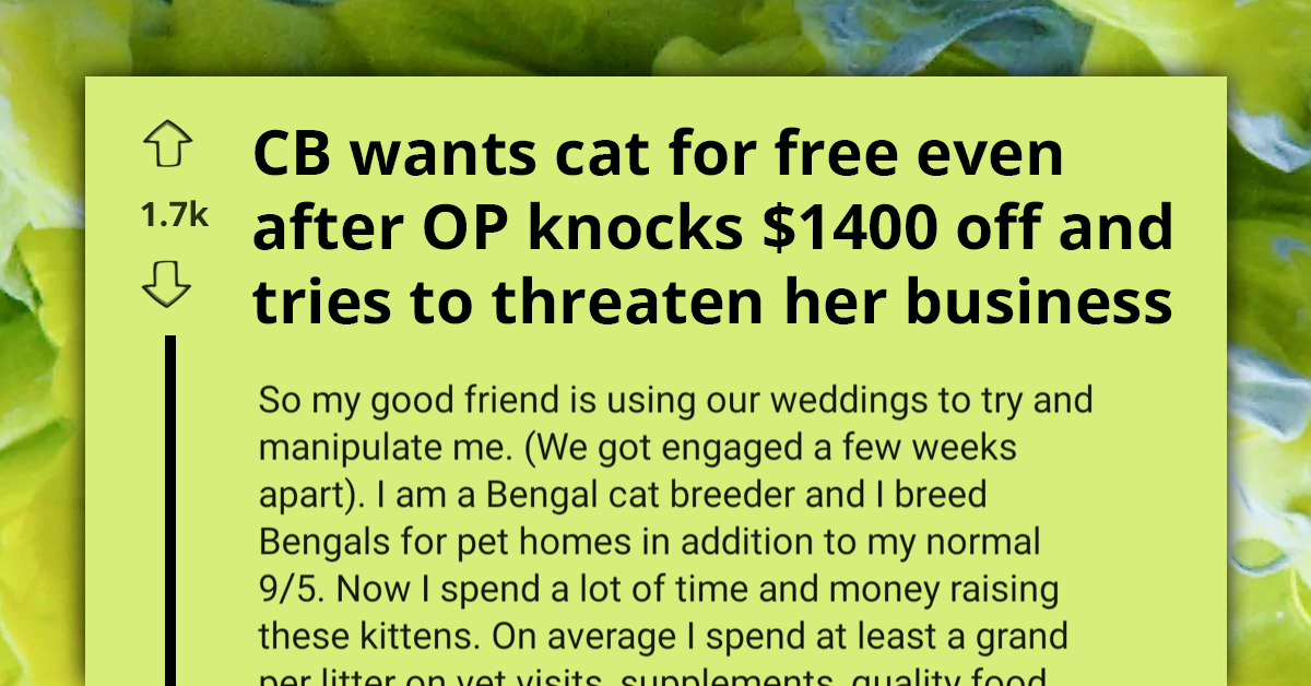 Bridezilla Rejects Friend's Massive 70% Discount For Bengal Cat, Insists On Receiving The $2000 Kitten As Wedding Gift