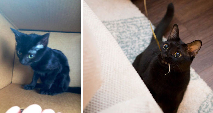 "I Had To Fight My Wife To Not Leave Him At The Shelter"