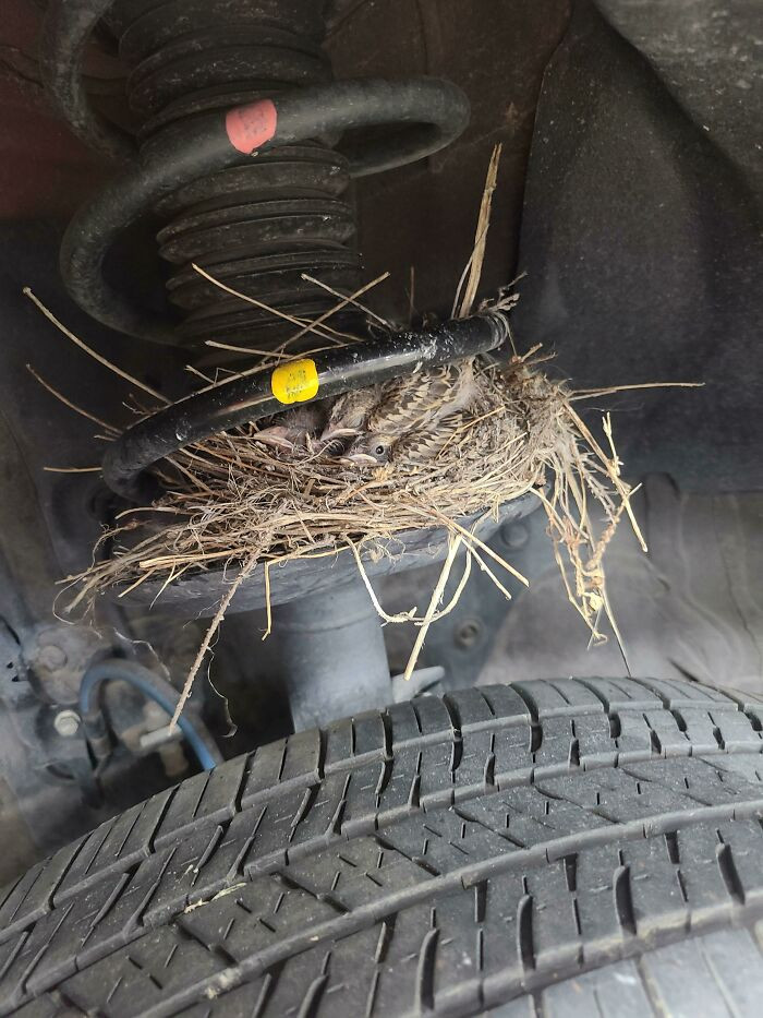 16. When A Car Sits On The Lot Too Long