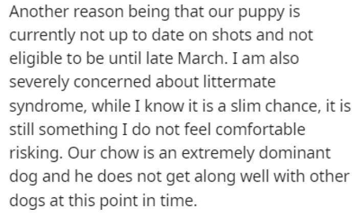 Littermate syndrome was a significant issue here because the two dogs might not get along