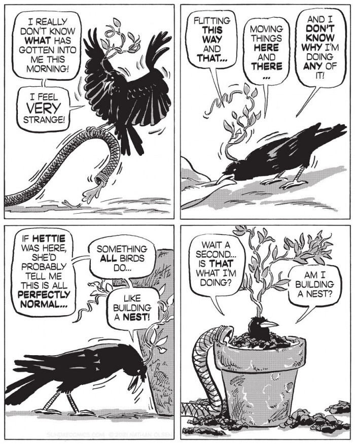 25. It is something all birds do