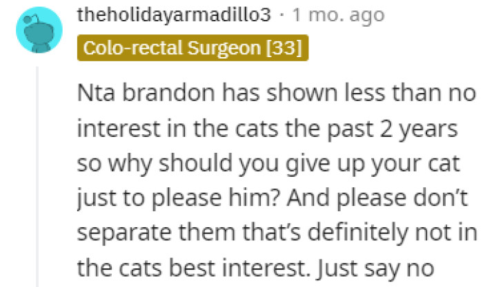 Brandon showed no interest in the cats for two years