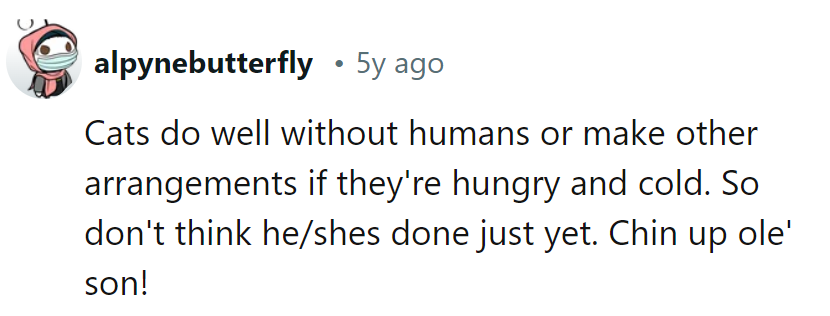 Cat's out there, living the gourmet life! Keep that chin up, dear friend!