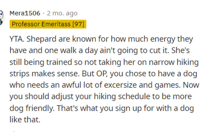 I think it's fair to say that OP doesn't have to take their dog on hikes, but they just need to provide more stimulation regardless.