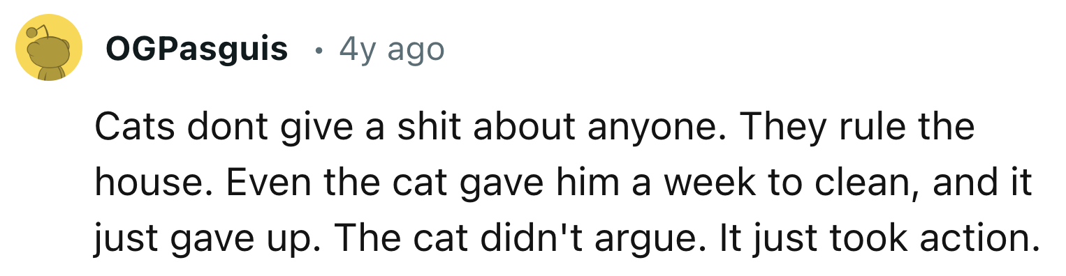 Cats Don't Care About Anyone