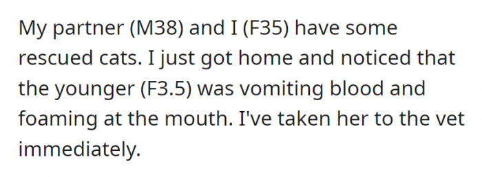 Her cat was vomiting blood, and its mouth was already foaming, so she decided to take the poor feline to the vet immediately.