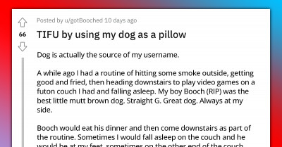 Hilarious Story Of Man Who Used His Dog As A Pillow Only To Wake Up With His Nose Buried In Dog Poop