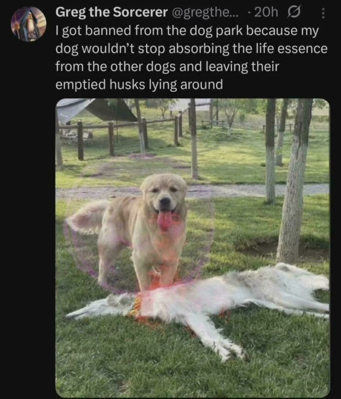 "Spot: The Most Vampiric Of Goodest Boys"