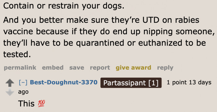 The rabies shot is always important.