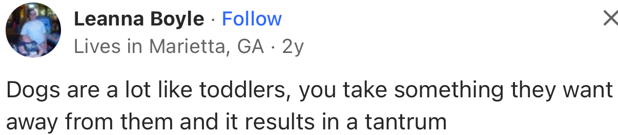 Dogs Are Like Babies; They Believe They Can Get Whatever They Want. And If You Take Something Away, They Throw a Tantrum as a Way of Expressing Their Displeasure