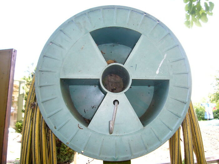 20. Having radioactive material used during heart surgery