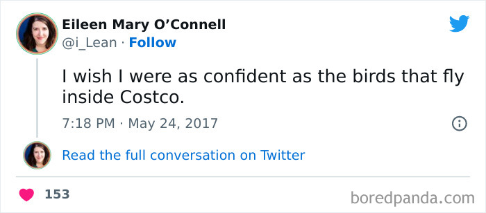 14. The Costco Birds