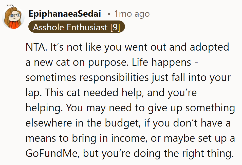 When life gives cats, she's not kitten around! Time to budget and maybe cat-nip a solution.