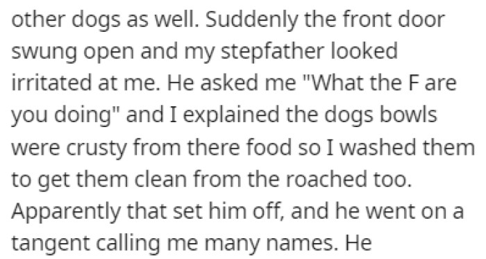 OP was cleaning the dog bowls when her stepfather entered the house and asked what she was doing