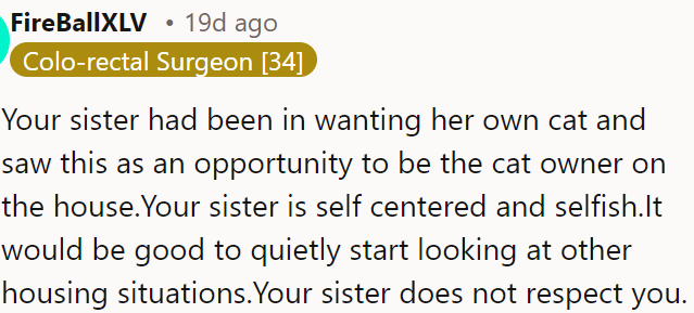 OP's self-centered sister wants to be the sole cat owner and doesn't respect OP.