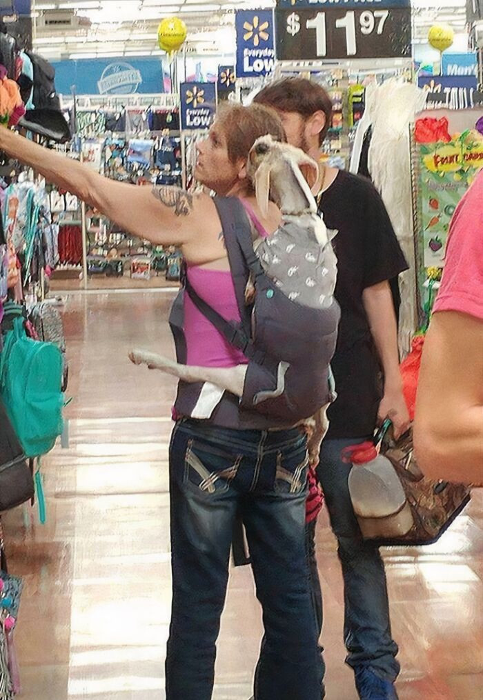 "You Can Literally Bring Anything To Walmart!"