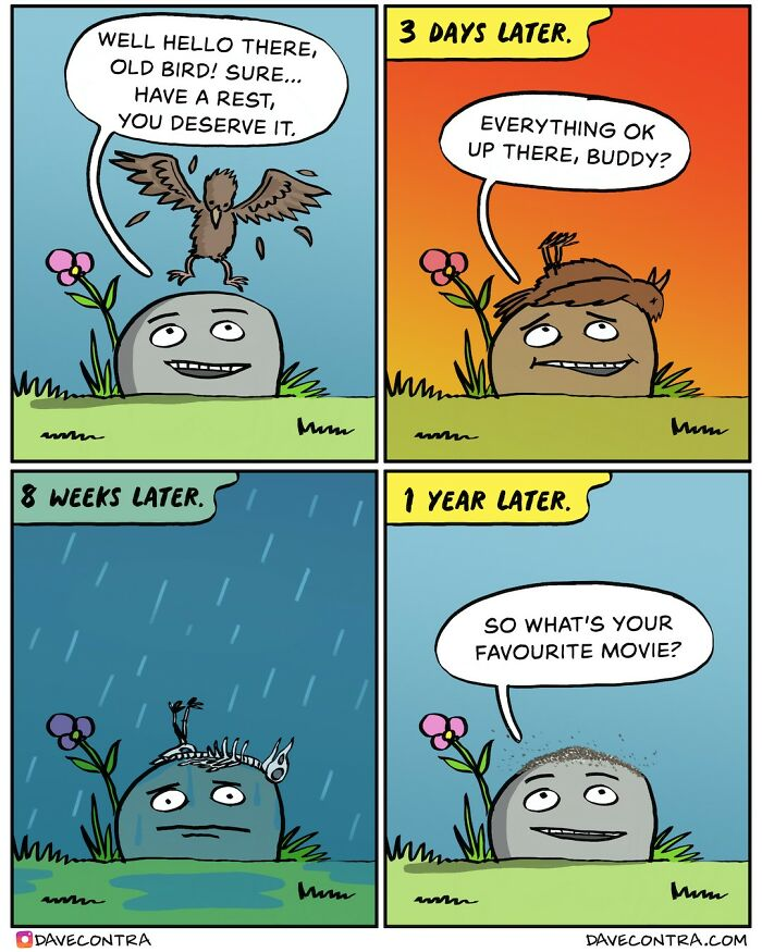 33. He just wanted a friend!