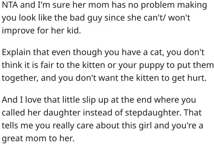 6. She should politely turn down her stepdaughter's mother by using her own pets as an excuse.