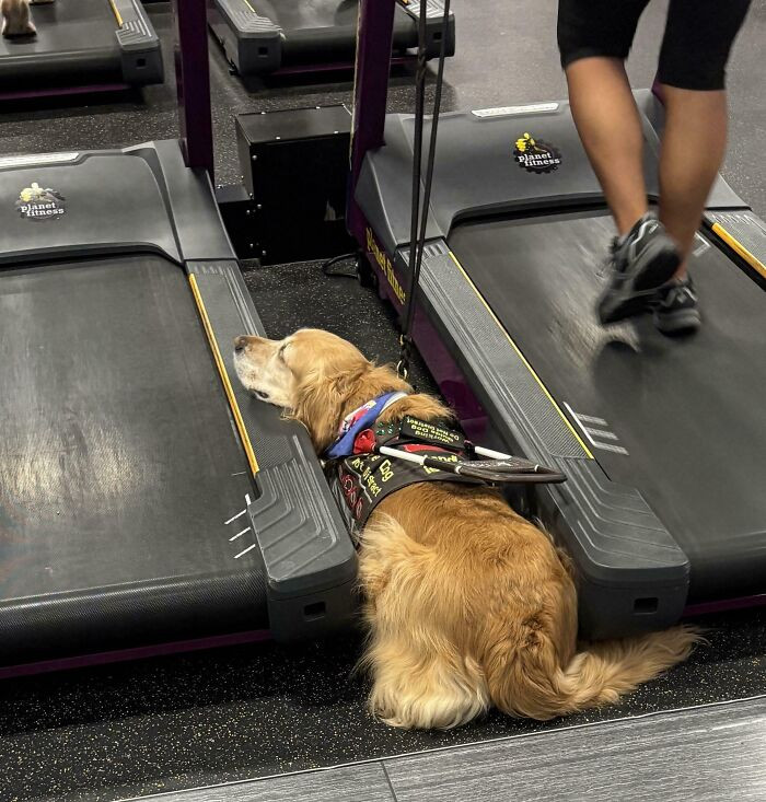 "Sitting On A Machine And Not Using It. This Good Boy Made My Morning"