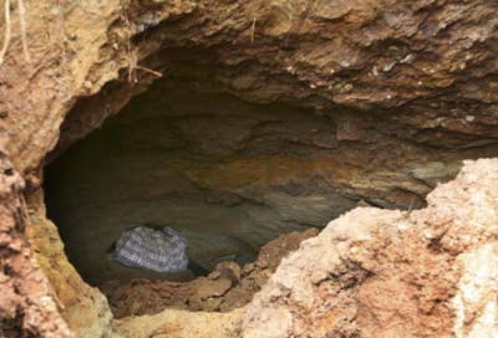 12. True Russian Orthodox Church