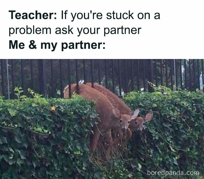 7. What if it's you and your partner stuck in a problem?