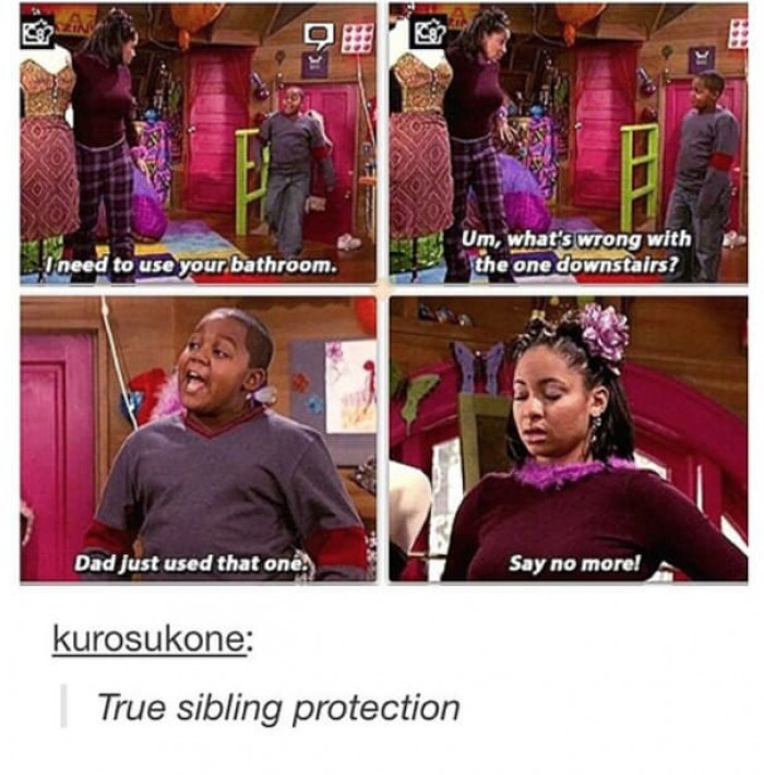 16. Protecting your siblings be like.