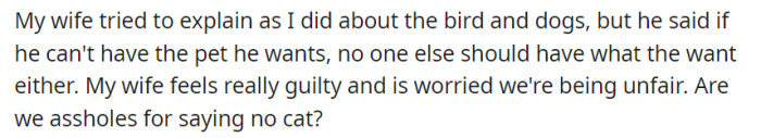 Despite efforts to explain the concerns about compatibility with existing pets, their son's reaction to the denial of a cat is filled with resentment, claiming that if he can't have the pet he wants, no one else should have what they want either.