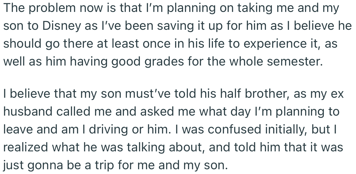 OP organized a Disney trip for her son, leaving out his half-brother
