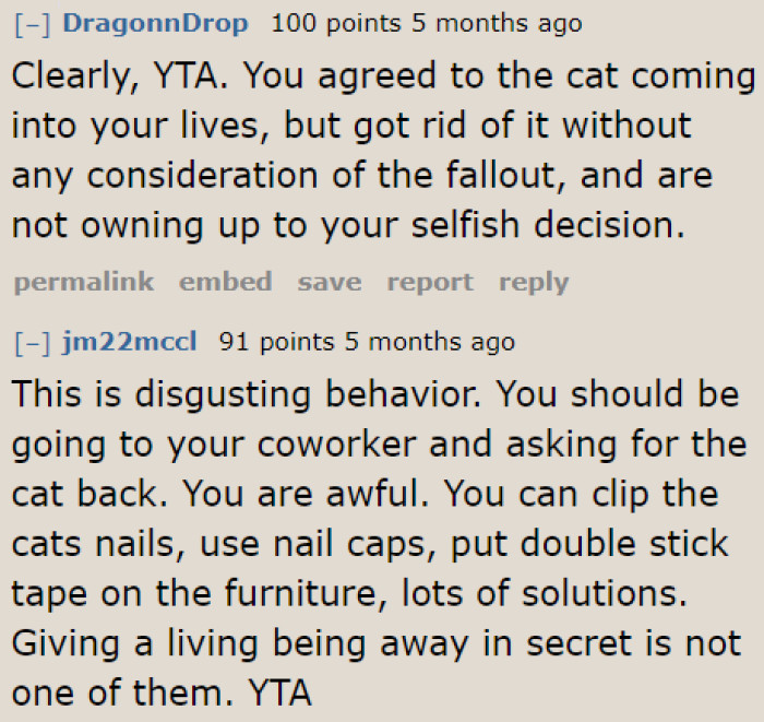 What the OP did was selfish. He shouldn't have agreed to getting a pet if he didn't like cats.