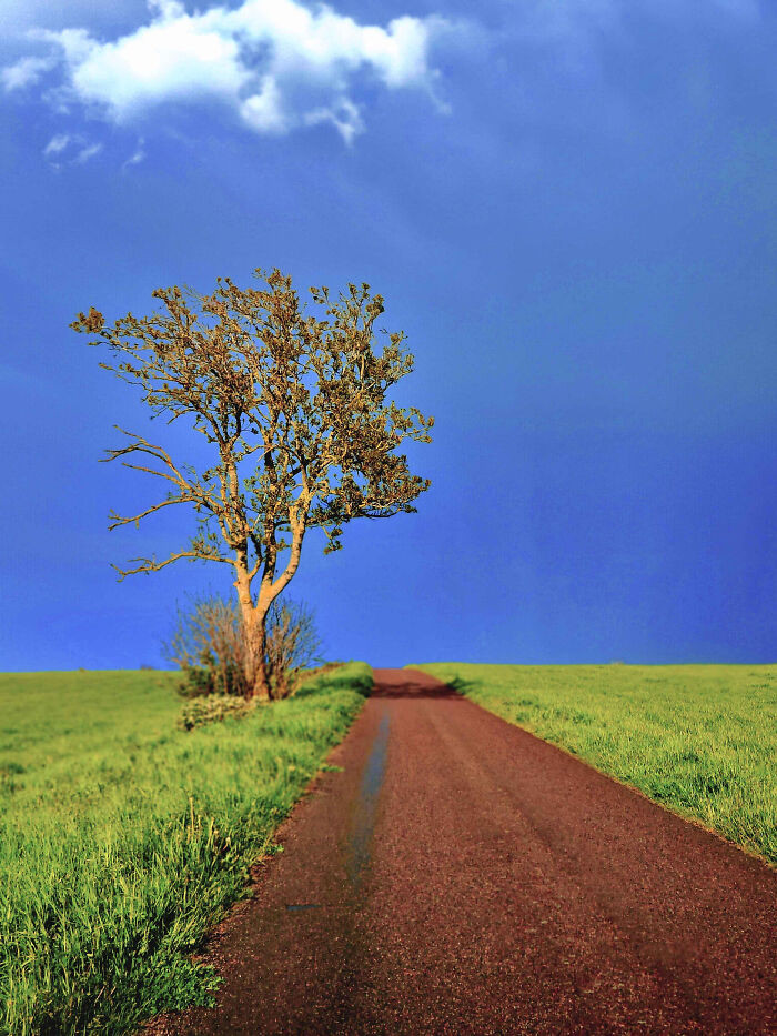 "Weird Picture I Took On Öland (Sweden)"