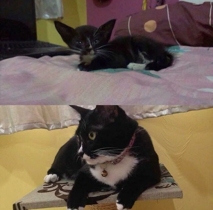 "Babygirl, Found Her Alone Starving In A Drain"
