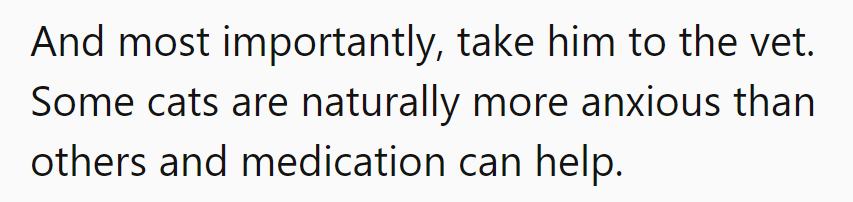 Time for a vet visit—cats with anxiety might need kitty Prozac!