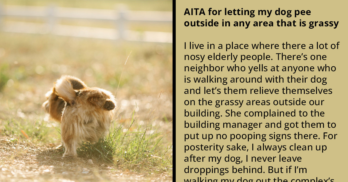 Redditor Asks If It’s Okay To Let Their Dog Pee Anywhere Where There’s Grass - Because Their Neighbors Don’t Think So