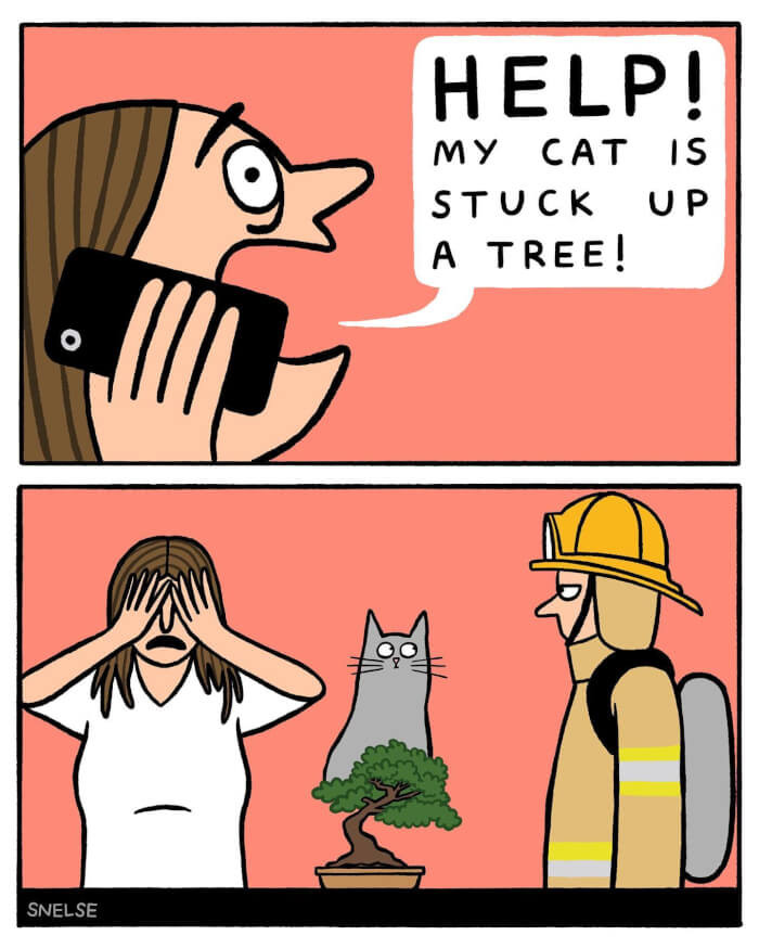 4. Cat in a Tree