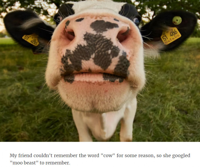 5. I wonder what Google told the friend... Lol