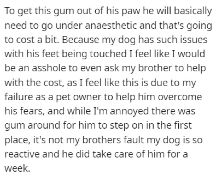 OP wants to ask their brother to pay for the vet bills