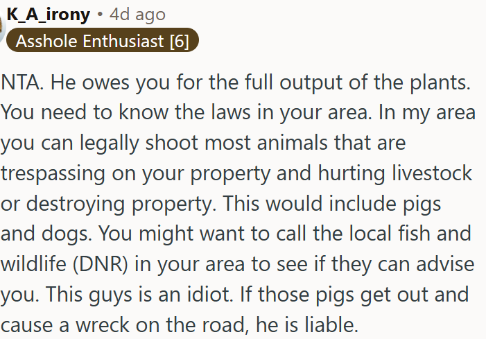 The Neighbor Is Liable for Escaped Pigs Damaging Property and Causing Accidents.