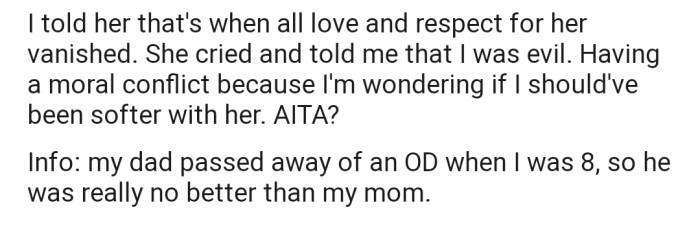 Now OP's Mother Feels Hurt and Is Accusing Him of Being Evil for Abandoning Her in the Hospital
