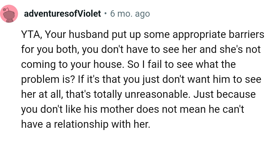 The OP Doesn't Like Her Husband's Mom