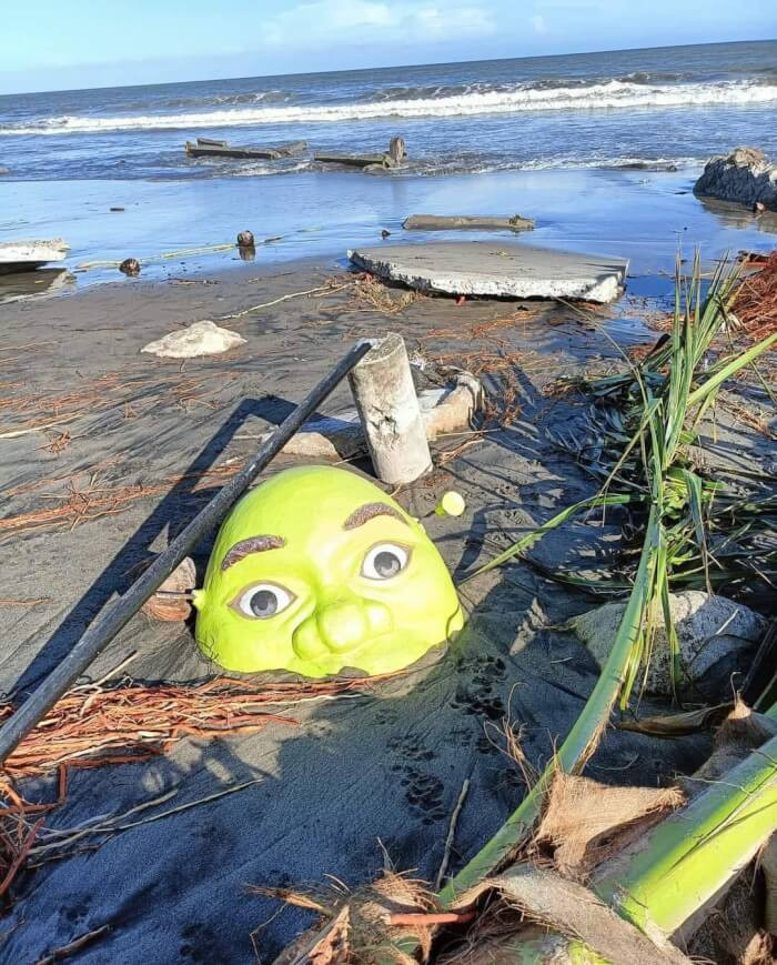 1.  Shrek taking a mud bath.