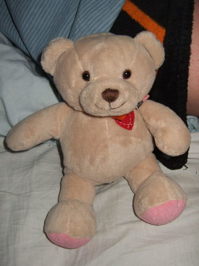 8. A teddy bear